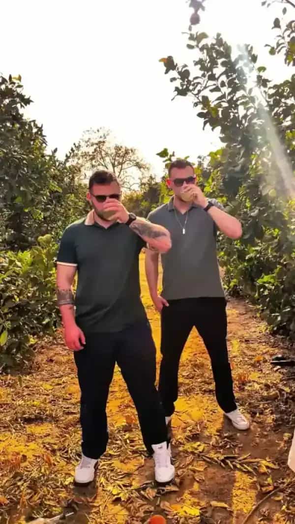 שמפניה על קרח בעיצוב אלגנטי